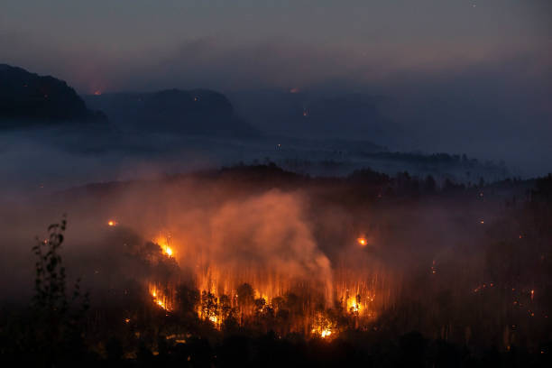 Пожар в тайге. (Фото: Gabriel Kuchta/Getty Images)