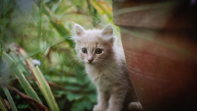 Фото: Sindy Strife/Unsplash