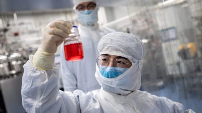 Инженер смотрит на клетки почек обезьяны, проводя испытание экспериментальной вакцины против вируса COVID-19 в лаборатории Cells Culture Room на предприятии Sinovac Biotech в Пекине, Китай, 29 апреля 2020 года. (Nicholas Asfouri/AFP via Getty Images)