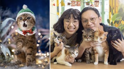 Уилсон Нг (справа) был старшим фотожурналистом в ныне закрытом издании Apple Daily. В 2021 году он стал фотографировать домашних кошек и их хозяев. (Courtesy of Wilson Ng)