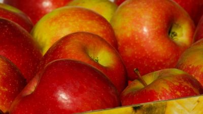 В России предложили исключить из списка соцпродуктов говядину и яблоки. (pxhere.com/СС0)